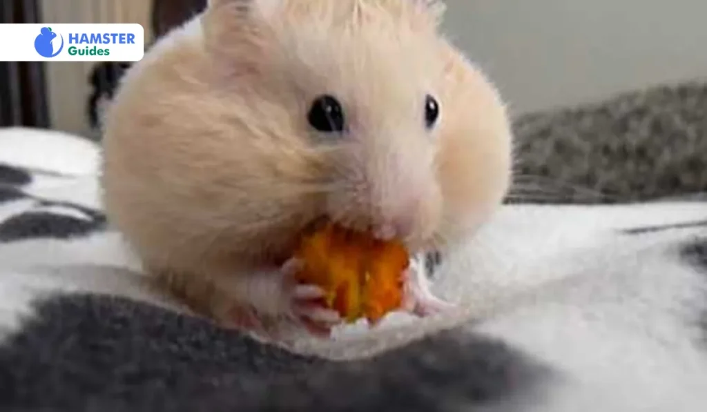 Preparing Carrots For Hamsters- Tips For Safe Feeding