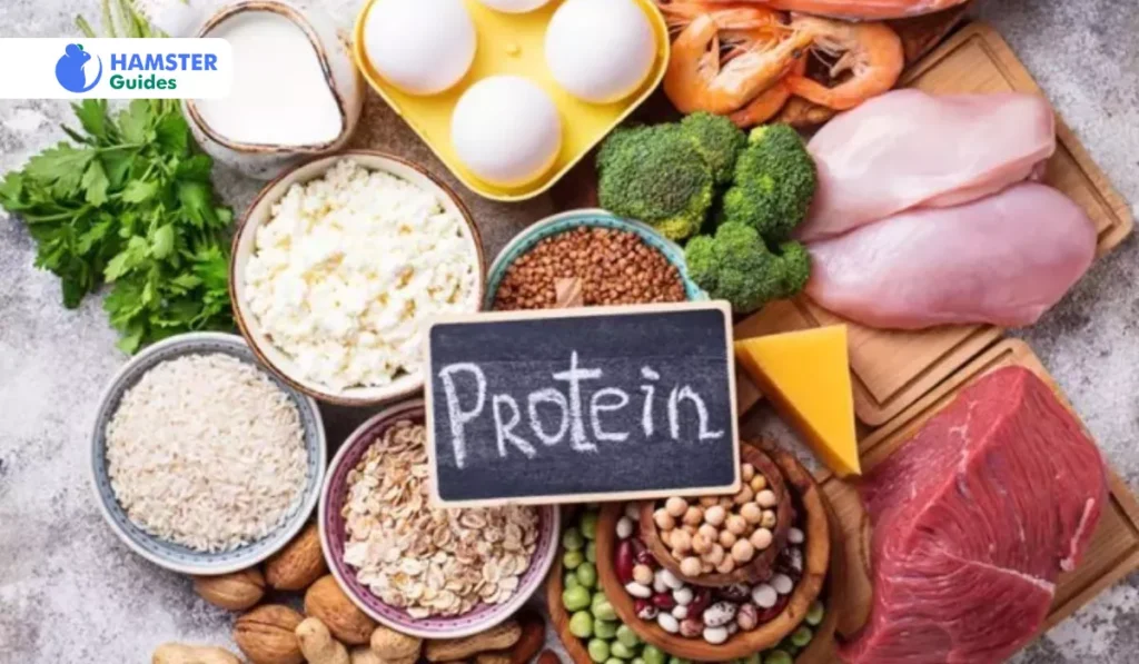 Protein for Muscle Development