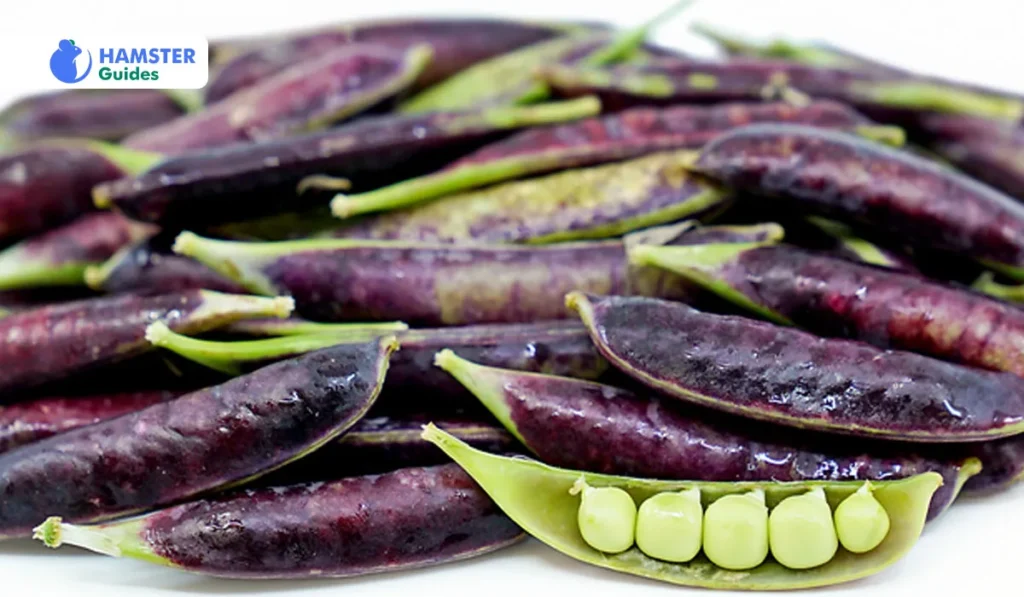 Purple Peas