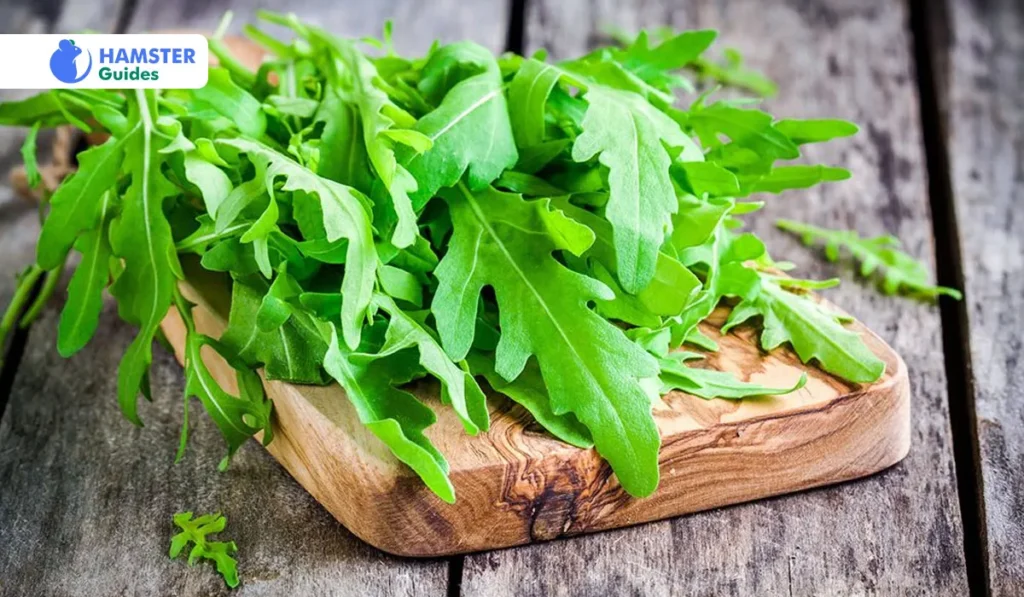 Safe Substitutes of Arugula and Leafy Greens