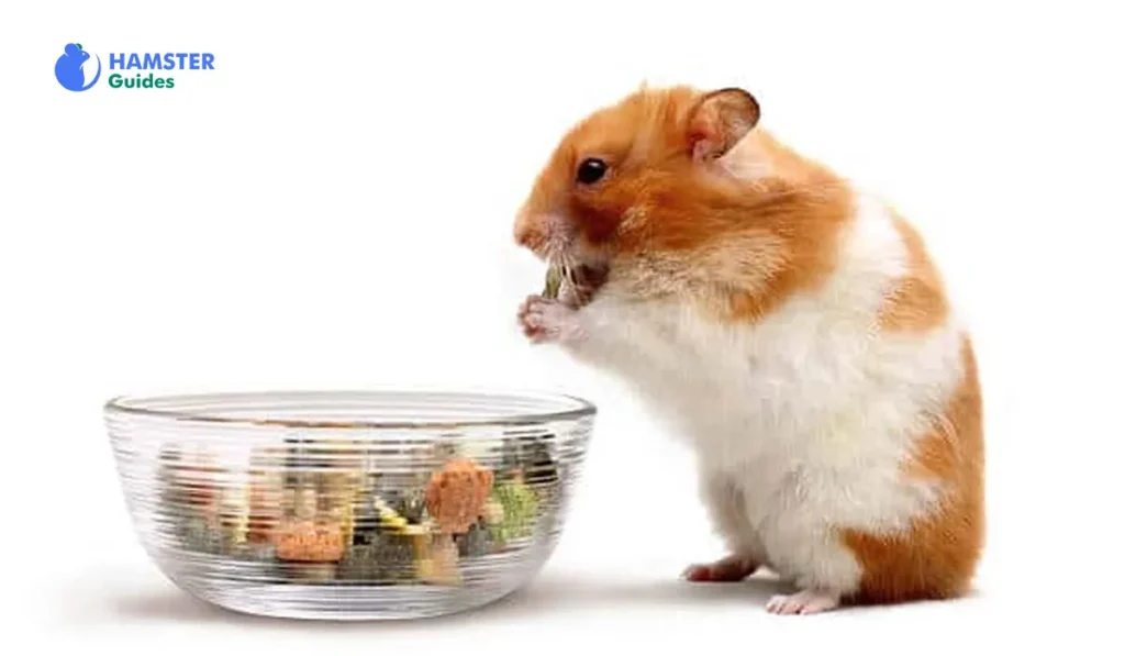 Safer Alternatives to Raisins