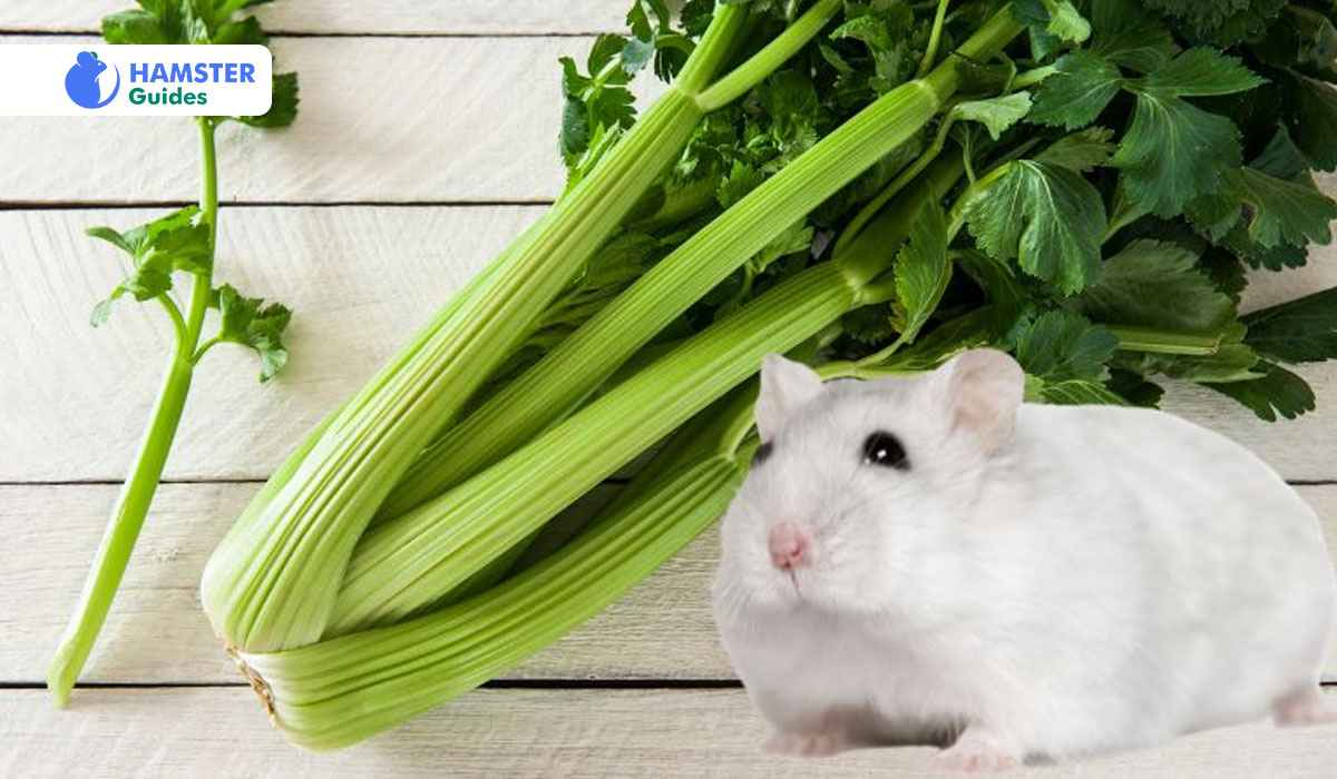 Can Hamsters Have Celery Leaves? Nutritional Tips & Benefits