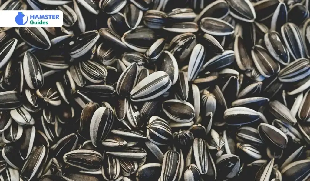 Shelled-vs.-Unshelled-Sunflower-Debate
