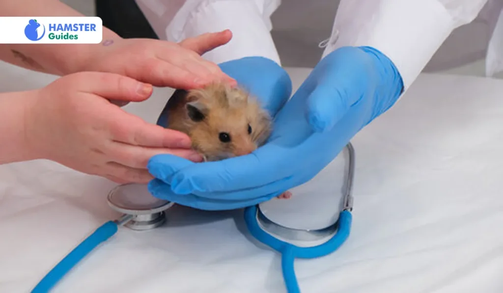 Signals Indicating Veterinary Attention