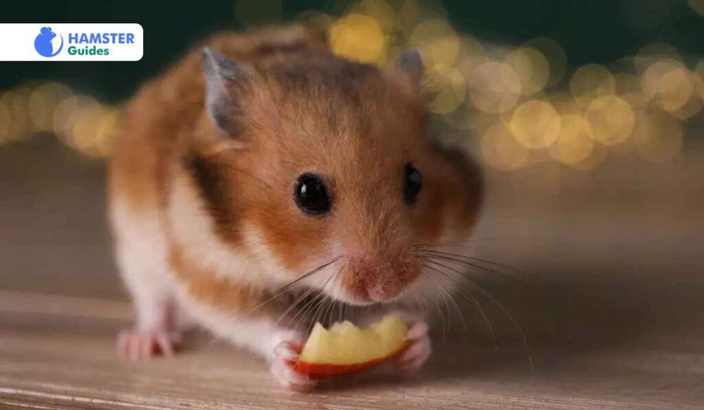 Species-Specific Diet