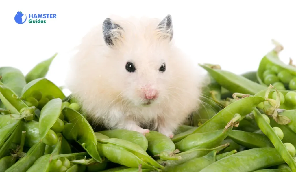 Suitable Peas for Hamsters