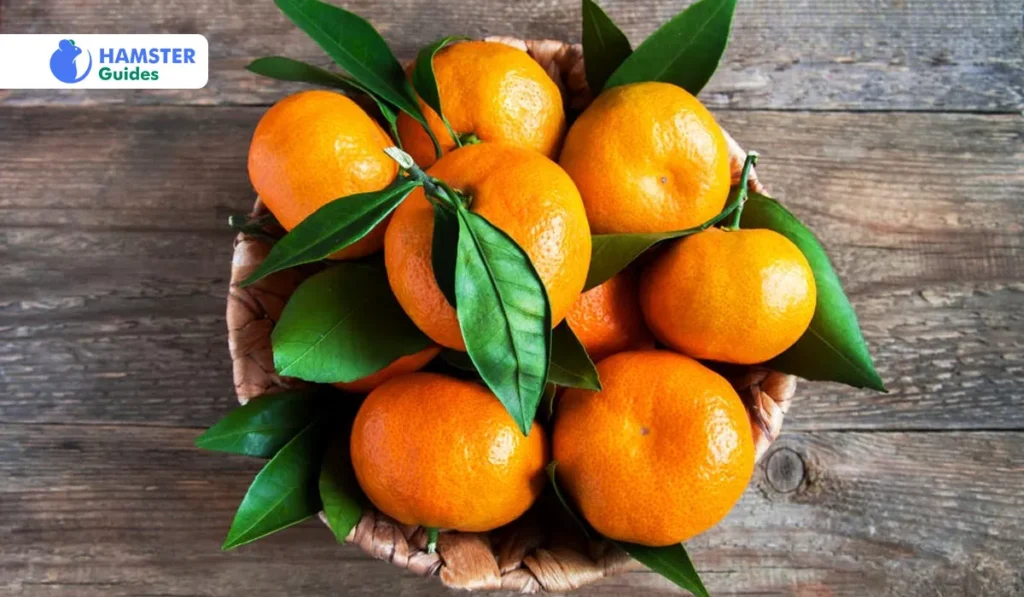 Tangerines’ Nutritional Value and Sensitivity