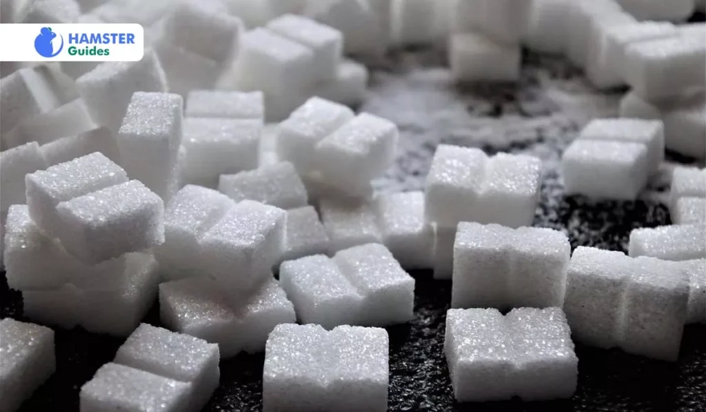The Amount of Sugar Intake and Its Moderation