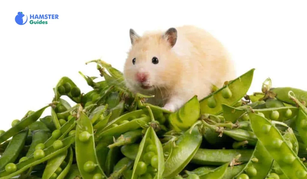The Nutritional Facts of Peas for Hamsters