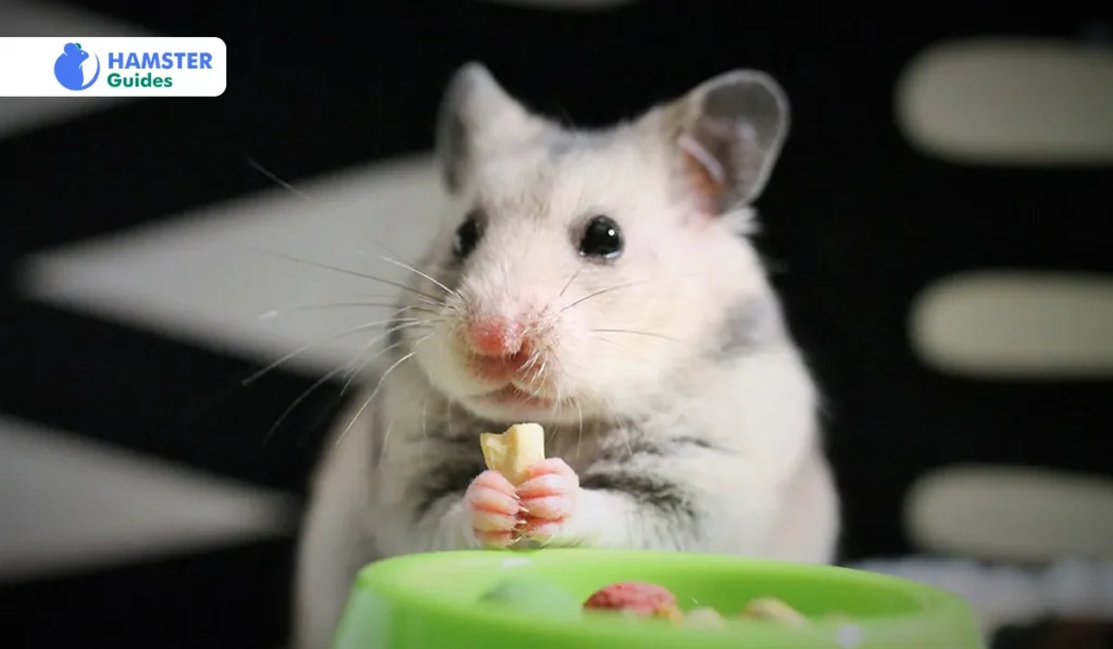 The Reason Why Moderation Is Essential