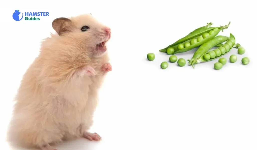The Risks Involved in Overfeeding Peas