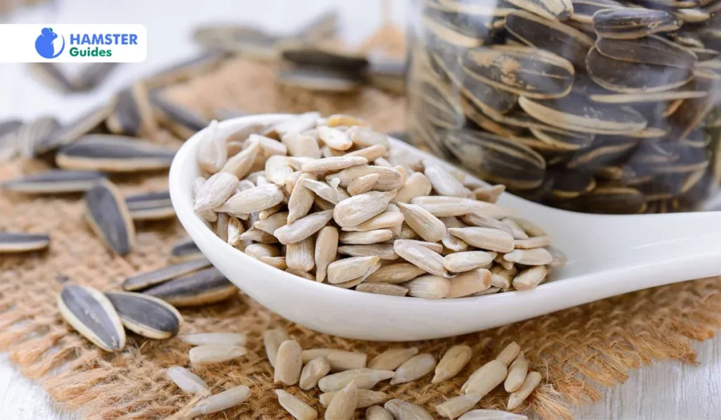 Types of Sunflower Seeds