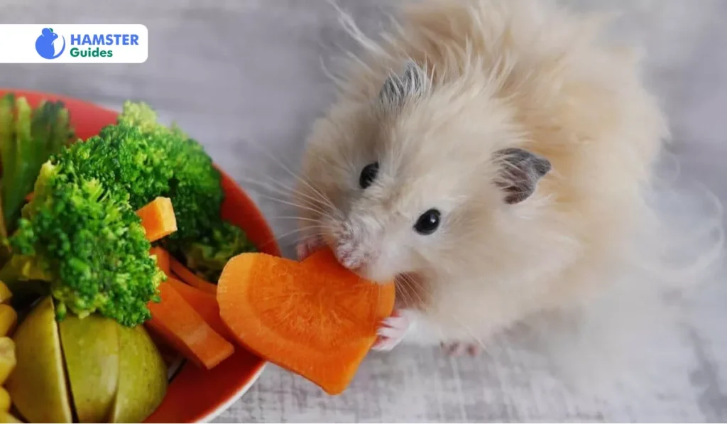 Understanding Hamster Dietary Needs