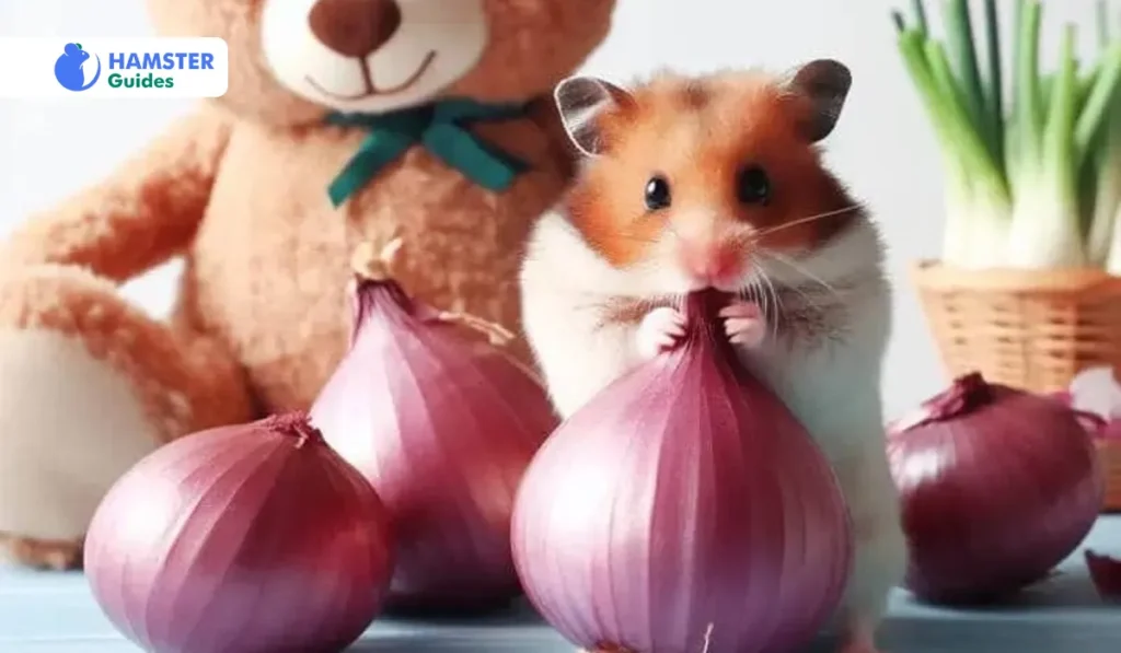 Understanding The Dangers Hamsters and Onions