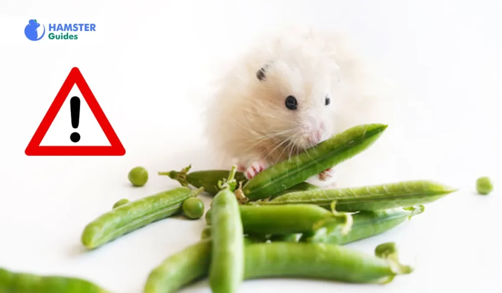 Unsuitable Peas for Hamsters