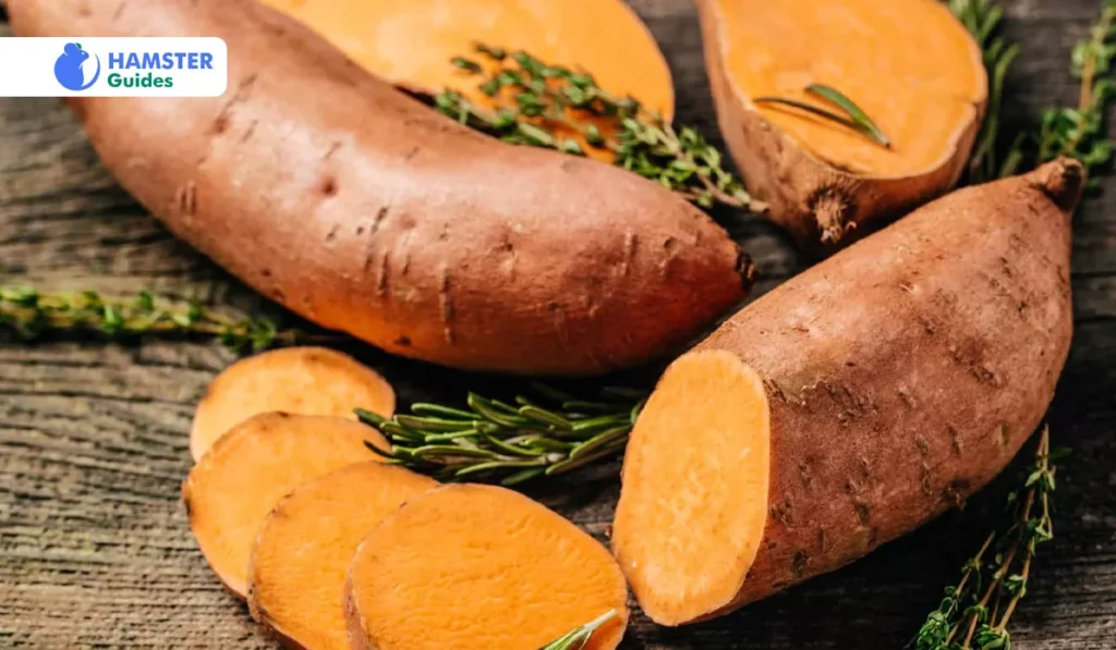 Variations of Sweet Potatoes in a Hamster's Diet