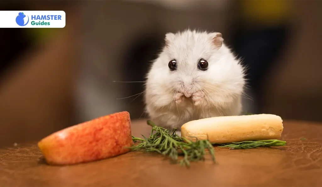 What Do Hamsters Usually Eat