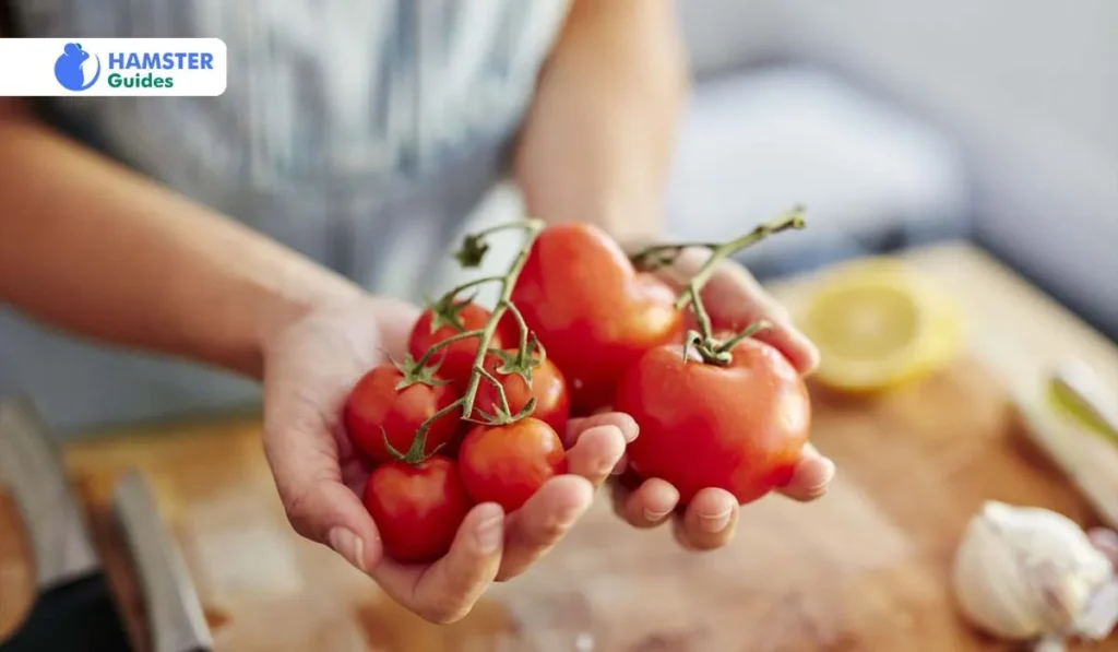 Why Tomatoes Are a Safe Choice