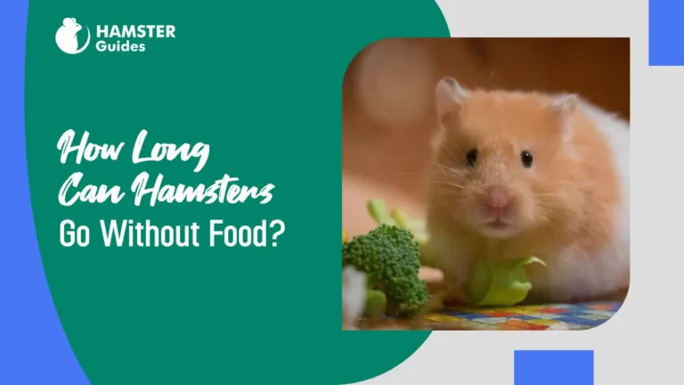How Long Can Hamsters Go Without Food?