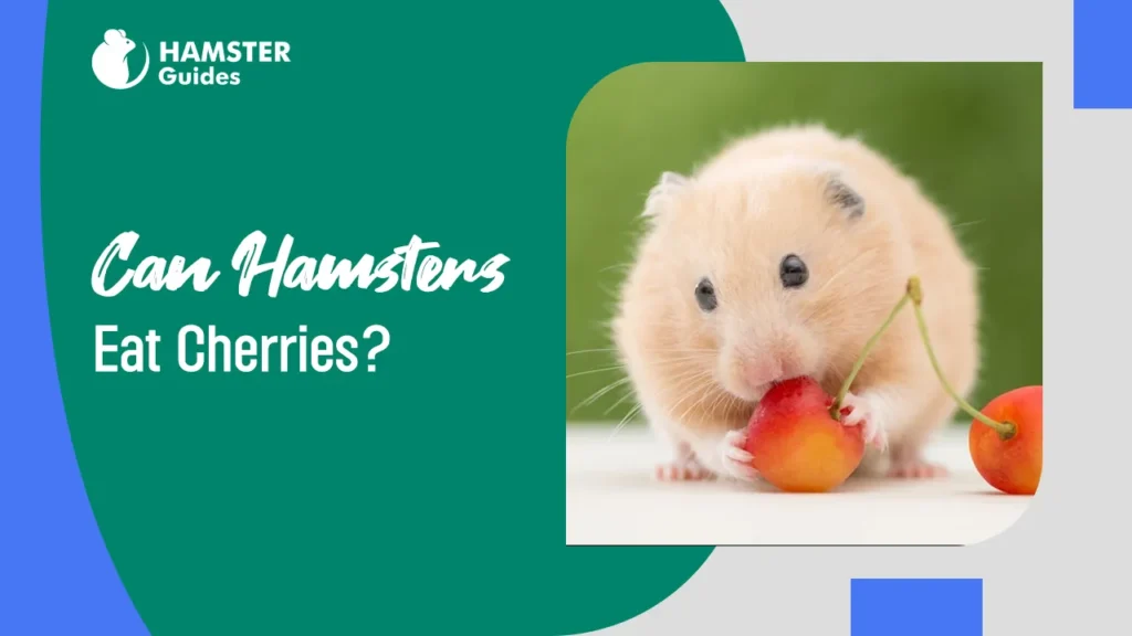 Can Hamsters Eat Pistachios? A Comprehensive Guide