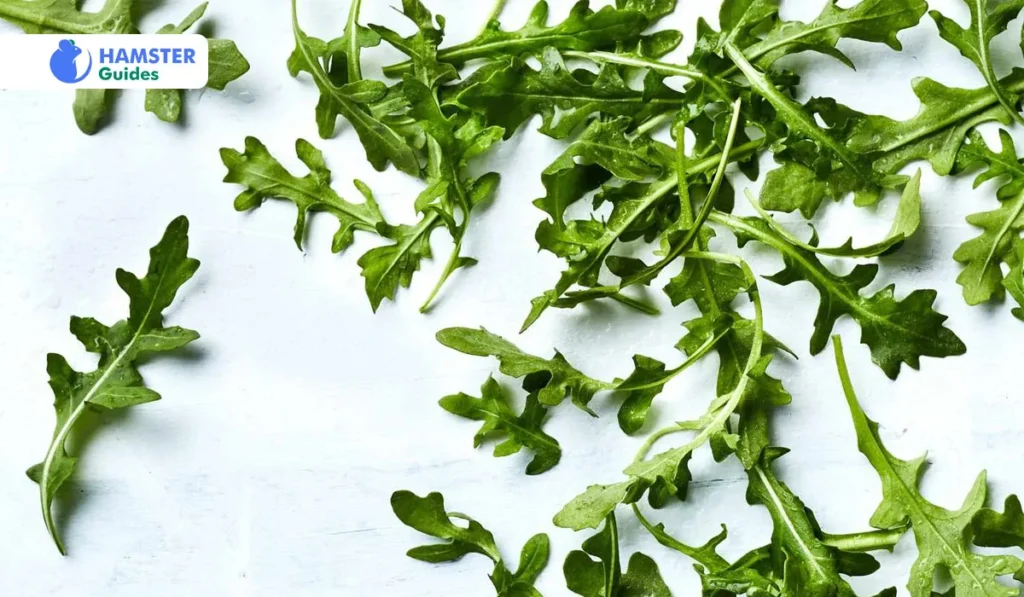 what Is Arugula